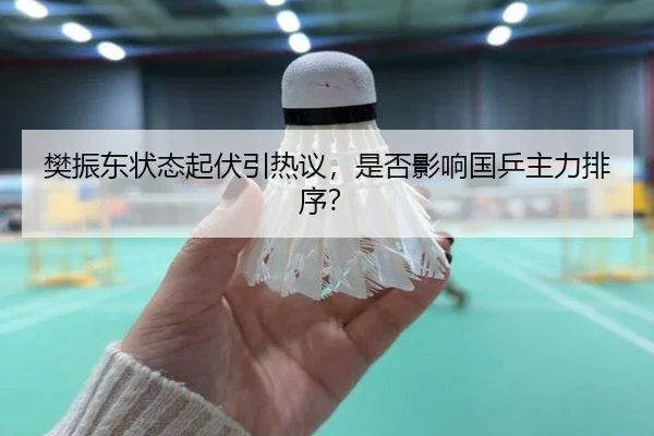樊振东状态起伏引热议，是否影响国乒主力排序？